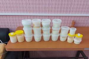 ادامه یک نذر مادرانه؛ اهدای چهارمین مرحله شیر مادر فیروزآبادی به نوزادان نیازمند