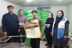 بازدید مشترک دستگاه‌های اجرایی از نانوایی‌های فیروزآباد؛ گامی برای ترویج نان کامل و ارتقای امنیت غذایی