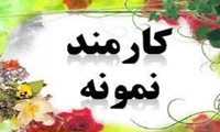 کارمندان نمونه شبکه بهداشت و درمان فیروزآباد معرفی شدند