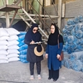 پایش سلامت محیط کار در کارخانه خوراک دام فیروزآباد؛ تأکید بر ارتقای ایمنی و حفاظت از کارکنان