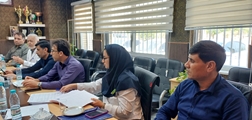 هم‌گرایی قطب درمان جنوب فارس؛ فیروزآباد میزبان نشست مشترک مدیران سلامت سه شهرستان 